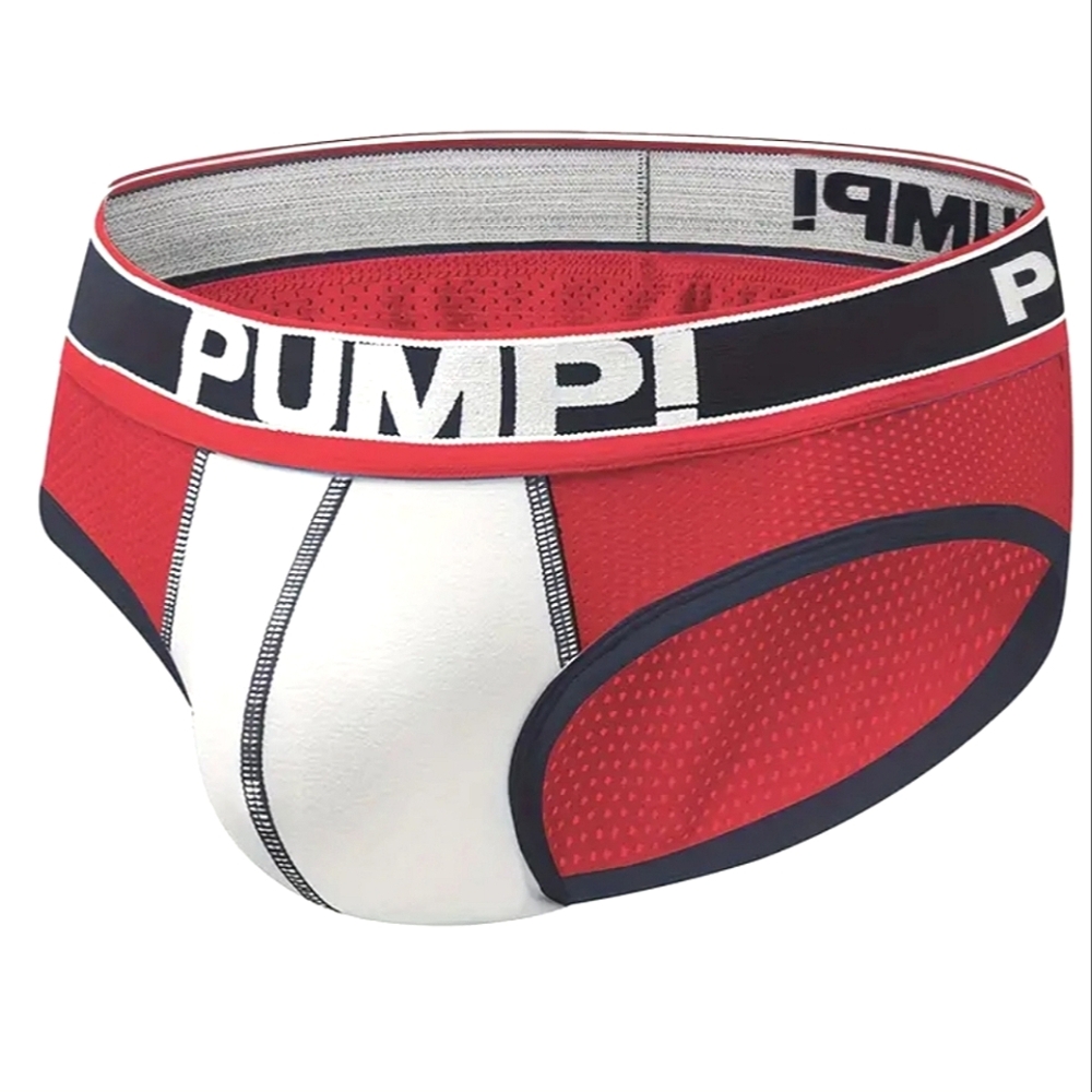 Pump mesh brief